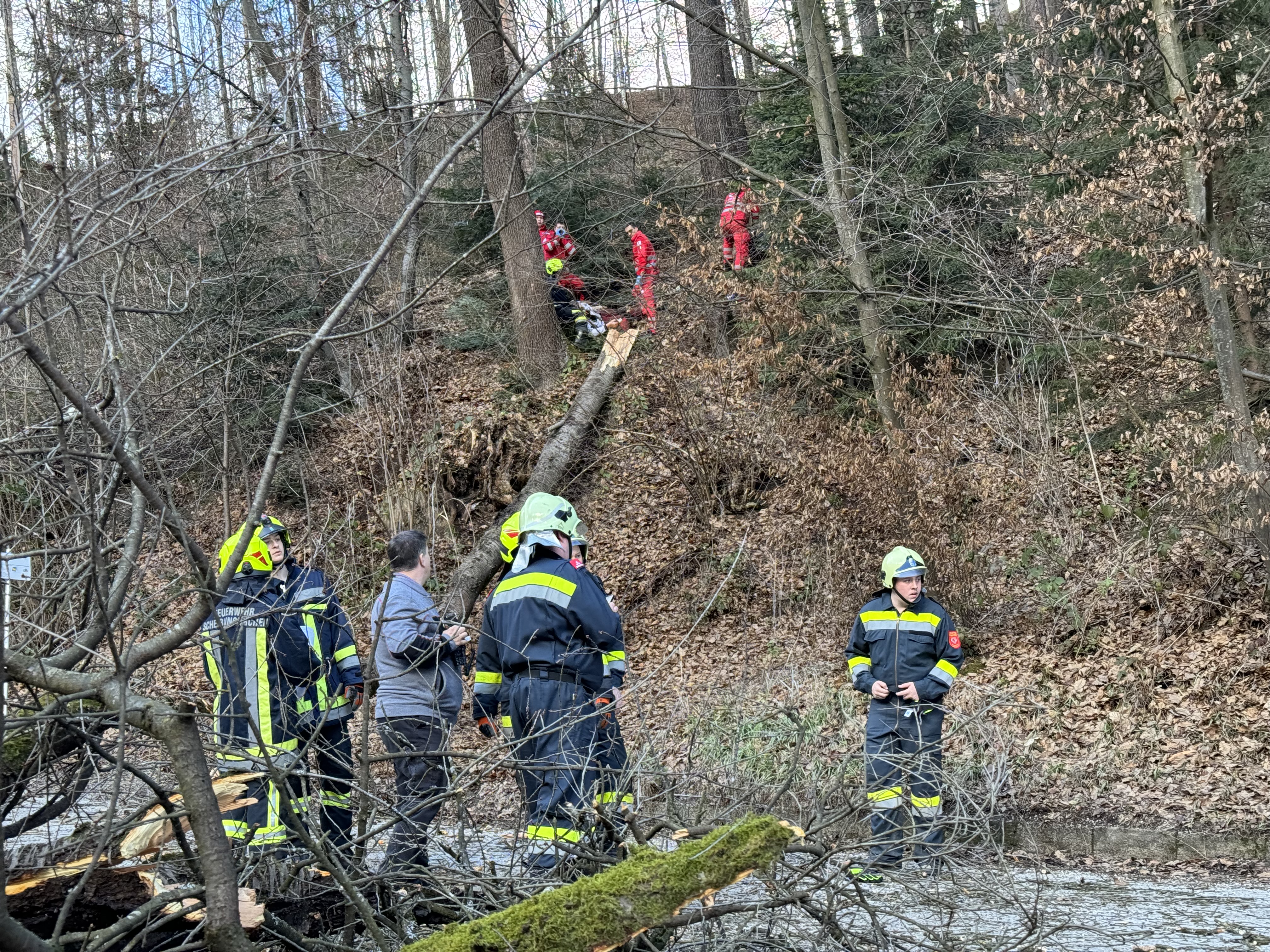 Menschenrettung nach Forstunfall