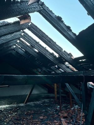 Fe3976f8 3f36 4ae0 Bbf9 A5a4db163f58