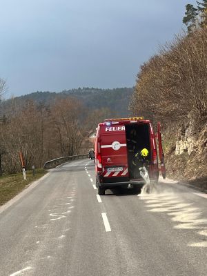 PHOTO 2026 03 04 15 43 28